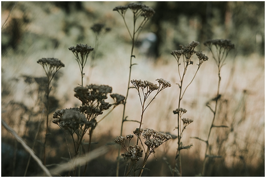 Methow Valley wedding