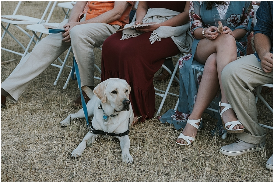 Dog outdoor wedding 