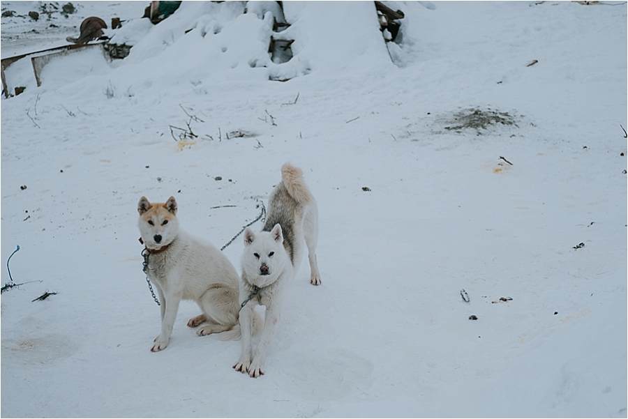 Alaska wedding photographer 