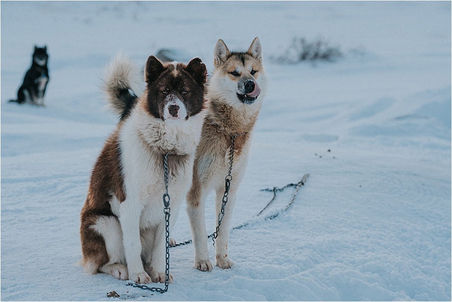 Norwegian elopement 