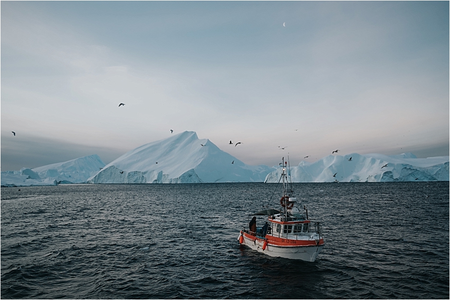 Greenland icebergs