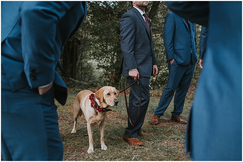 dog friendly venue in asheville north carolina 