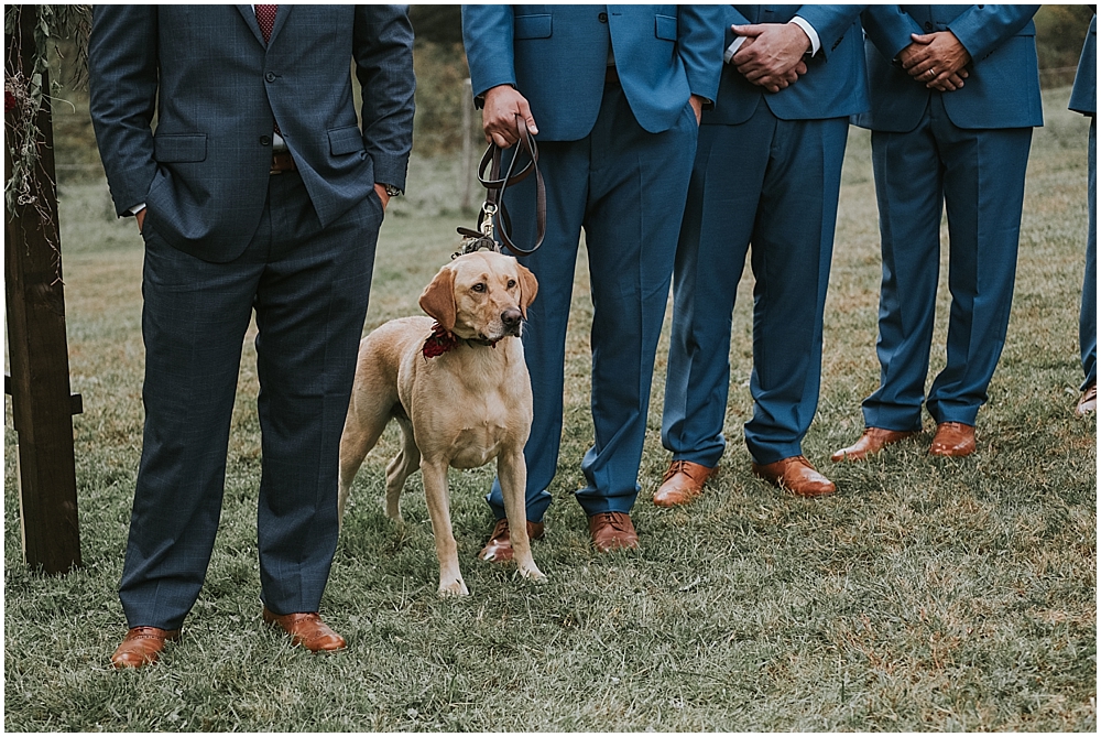 dog friendly wedding venue nc mountains 