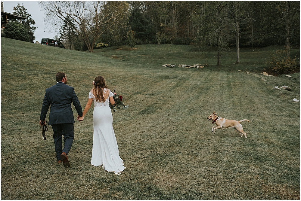 Wedding portraits with dog in Asheville, NC 