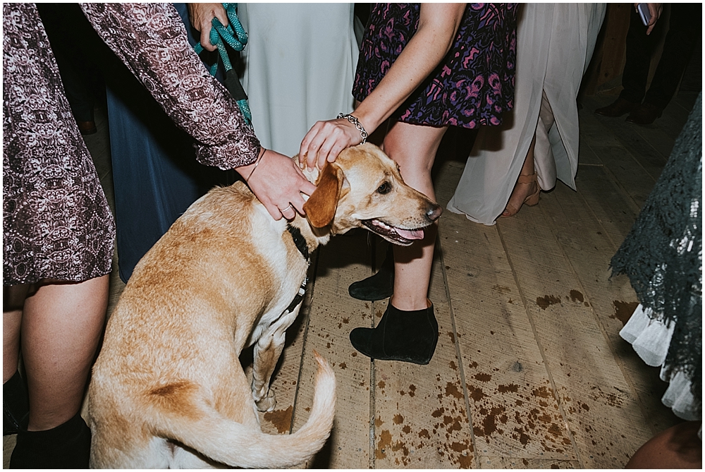 rustic laid back cabin wedding in asheville north carolina 