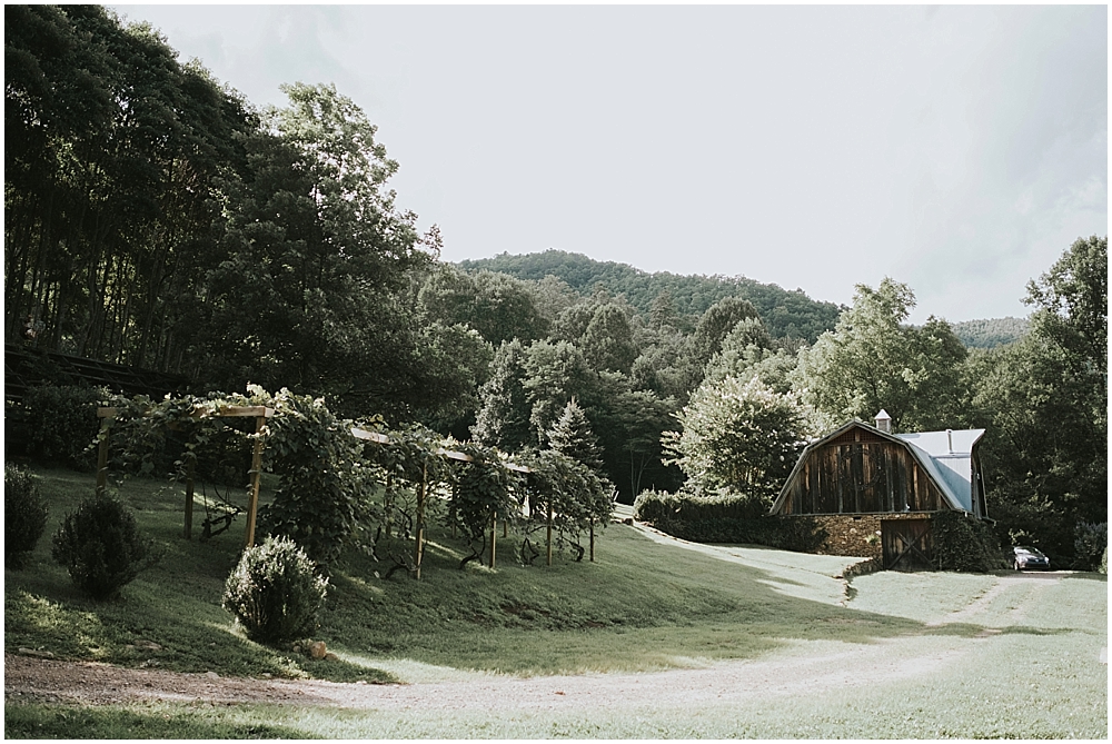 western north carolina vineyard wedding venue