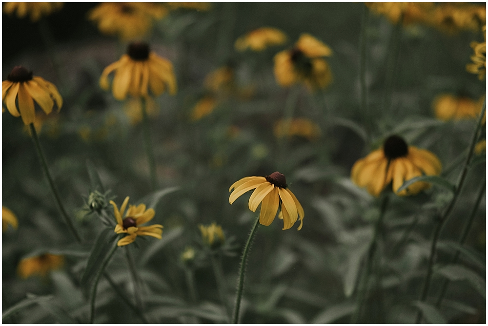 Asheville outdoor wedding photographer 