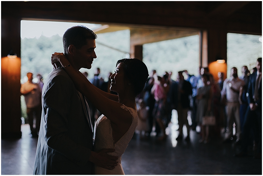 wedding reception The Vineyards at Bettys Creek natural light wedding photographer asheville nc
