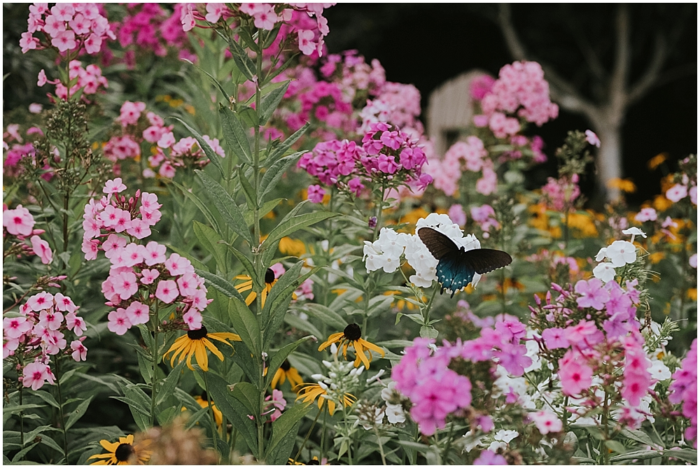 north carolina arboretum wedding asheville nc 