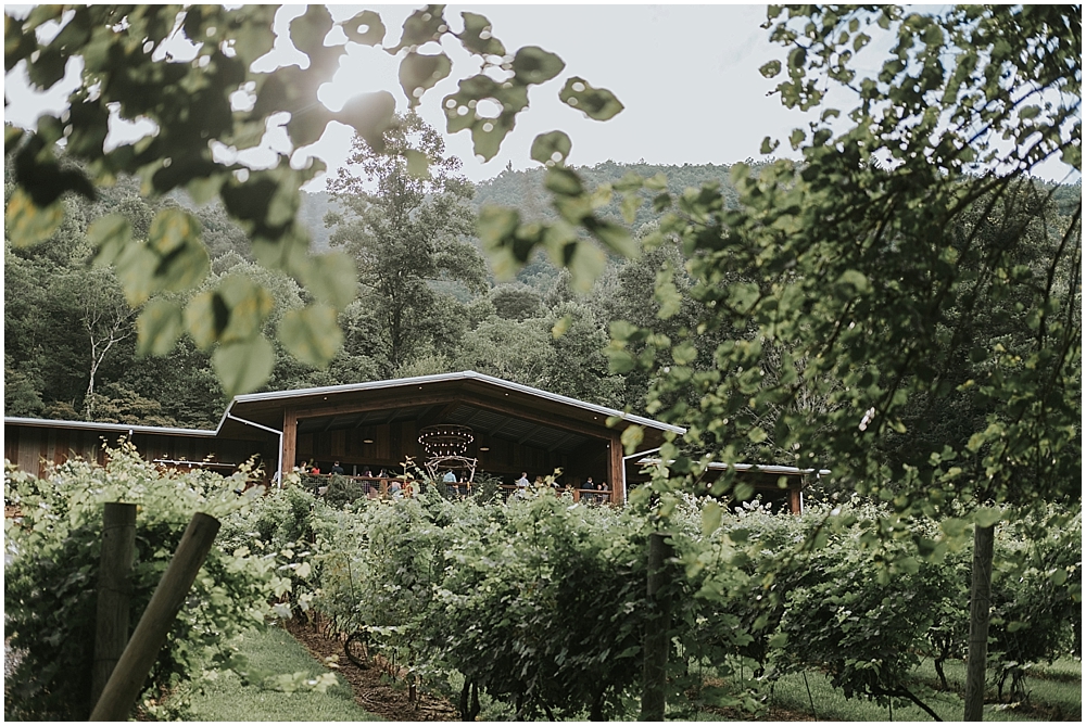 outdoor wedding reception Vineyards at Betty's Creek 