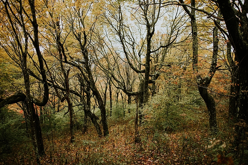 Asheville scenic wedding venue