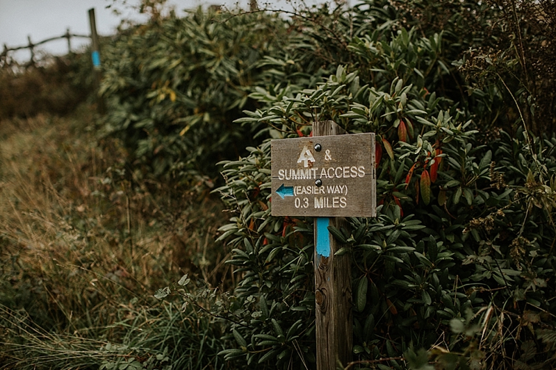 max patch wedding