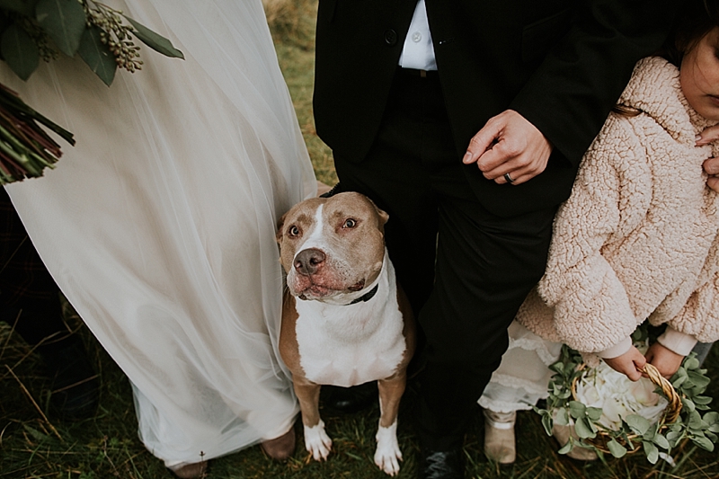 blue ridge mountain outdoor wedding