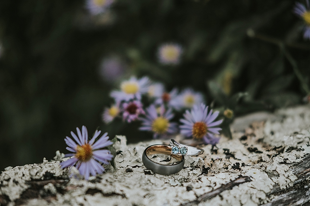 Roan Mountain State Park Elopement