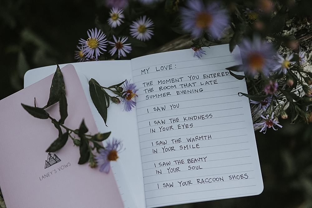 Roan Mountain State Park Elopement Roan Mountain State Park Elopement