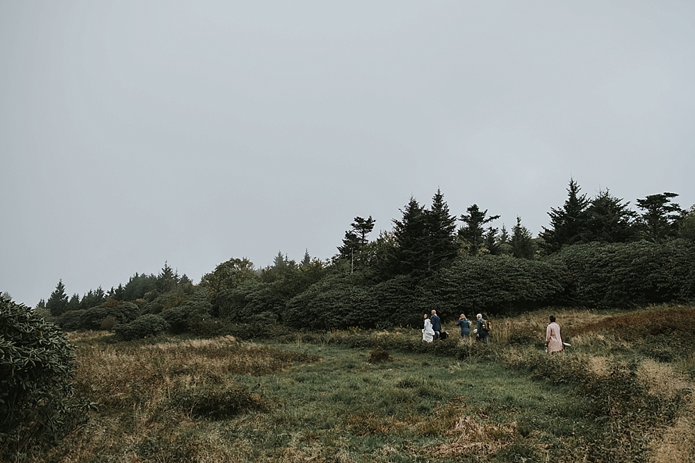 Hiking Roan Mountain