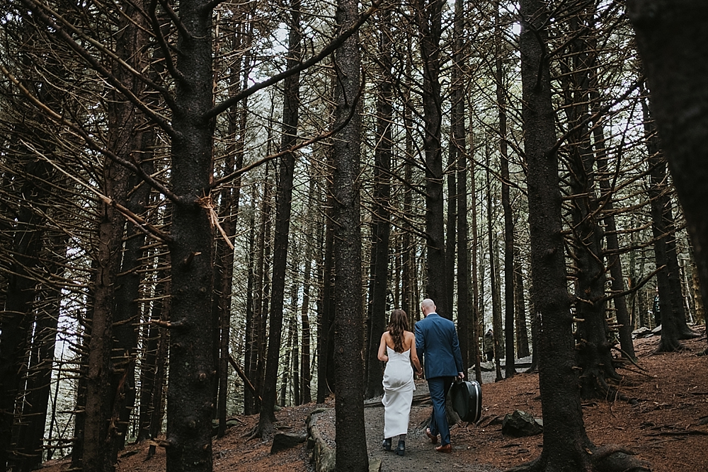 Hiking Roan Mountain