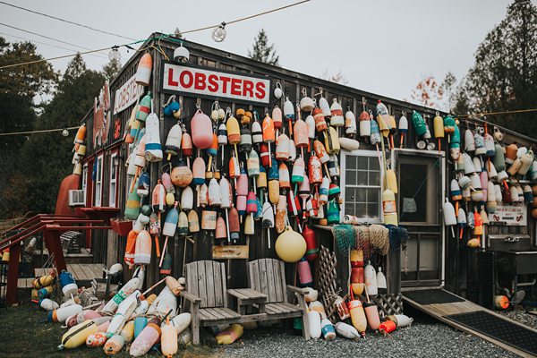 Bar Harbor Wedding Photographer xy