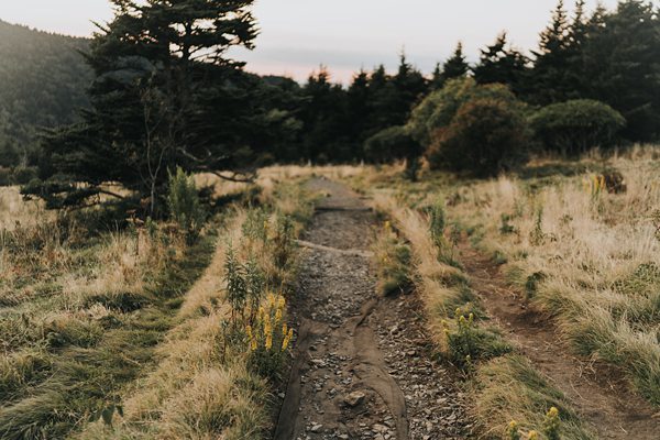 Roan Mountain Family Photos Session xy