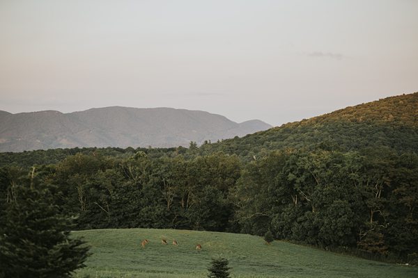 The White Crow Wedding Venue Banner Elk NC xy