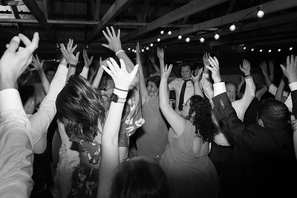Longleaf Vineyard Wedding Asheville x Longleaf Vineyard Wedding Asheville x