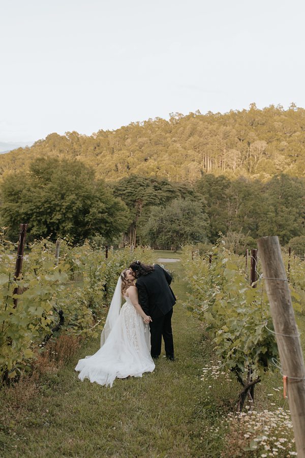 candid wedding photographer asheville candid wedding photographer asheville