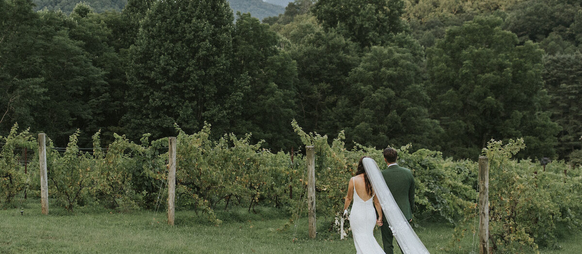 Julie + Garret | The Vineyards at Betty's Creek | Wedding Photographer Asheville, NC
