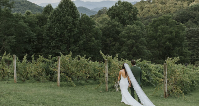 Julie + Garret | The Vineyards at Betty's Creek Wedding | Sylva, NC