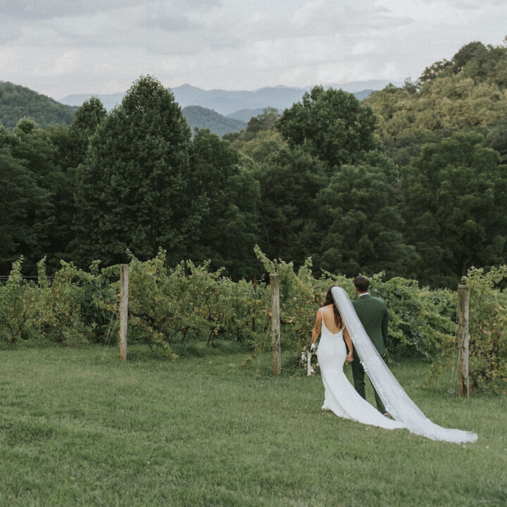 Julie + Garret | The Vineyards at Betty's Creek | Wedding Photographer Asheville, NC