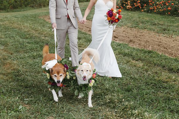 Lady Luck Gardens Leicaster wedding photographer Asheville Lady Luck Gardens Leicaster wedding photographer Asheville