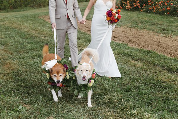 Lady Luck Gardens Leicaster wedding photographer Asheville