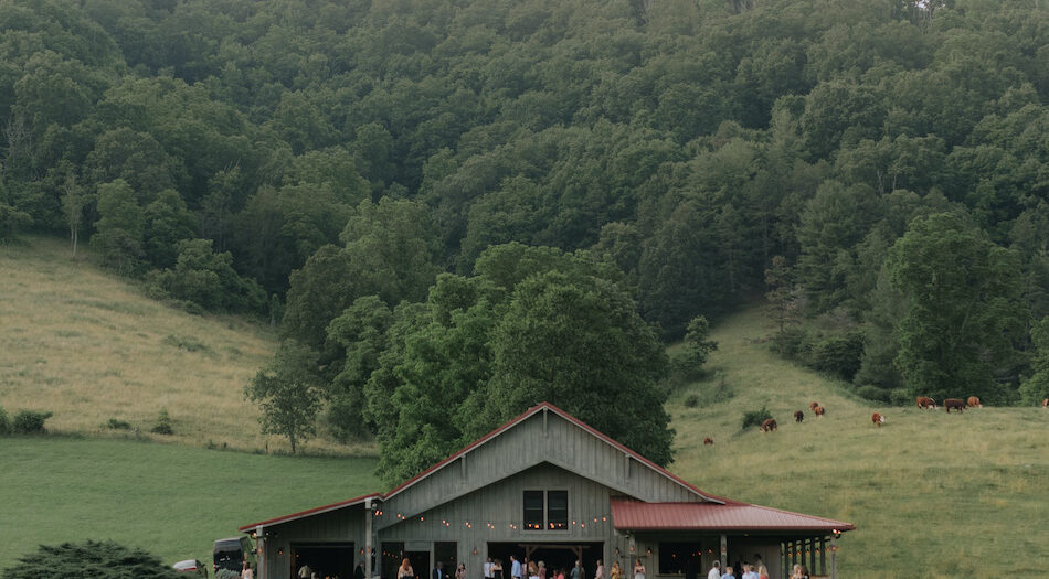 Claxton Farm Wedding in Asheville, NC | Documentary Asheville Wedding Photographer | Jessica & Chris