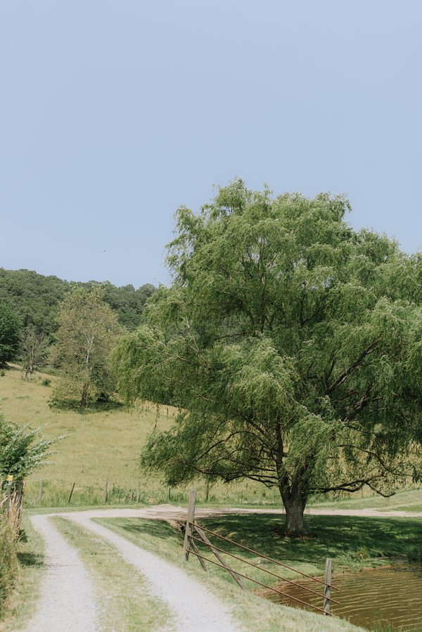 Asheville wedding photographer Claxton Farm wedding venue Asheville NC x