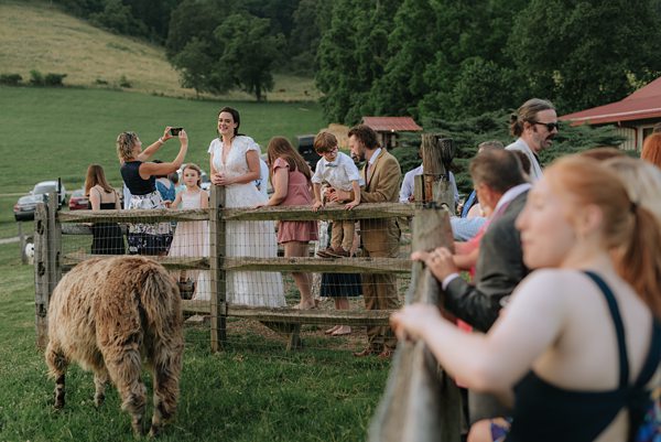 Asheville wedding photographer Claxton Farm wedding venue Asheville NC x