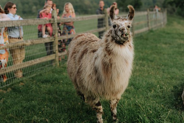 Asheville wedding photographer Claxton Farm wedding venue Asheville NC x