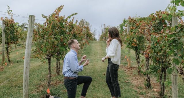 Surprise Proposal with M & R