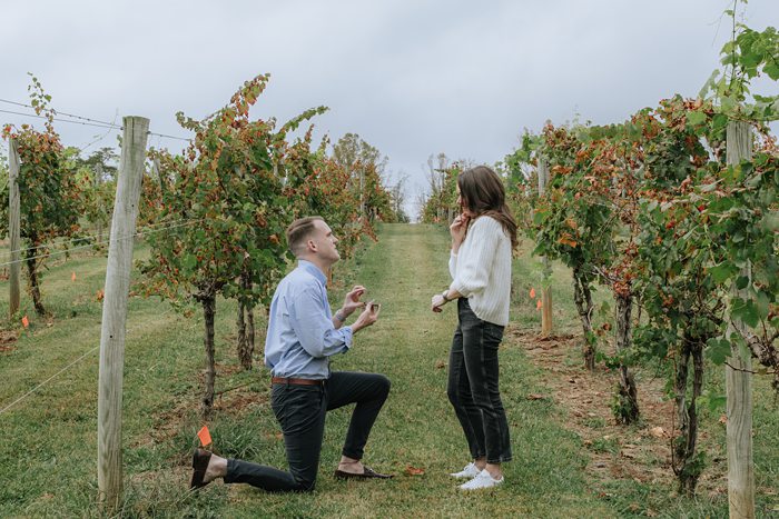 Surprise Proposal with M & R